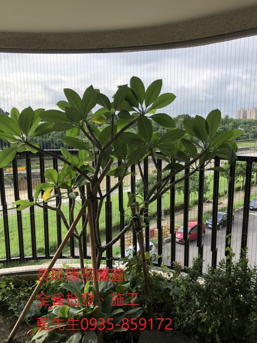 隱形鐵窗 兒童防護窗 兒童防墜窗 防盜窗 防鴿網 防寵物 陽台防護 大樓防護 高雄隱形鐵窗 隱形鐵窗推薦 隱形鐵窗達人 隱形折紗 長昕隱形鐵窗 台南隱形鐵窗 屏東隱形鐵窗 隱形鐵窗工廠直營 隱形鐵窗批發 台北隱形鐵窗 台中隱形鐵窗 鋼絲窗 鋼索窗 防墜窗 安全防護網 傳統鐵窗 鐵窗 不鏽鋼門窗