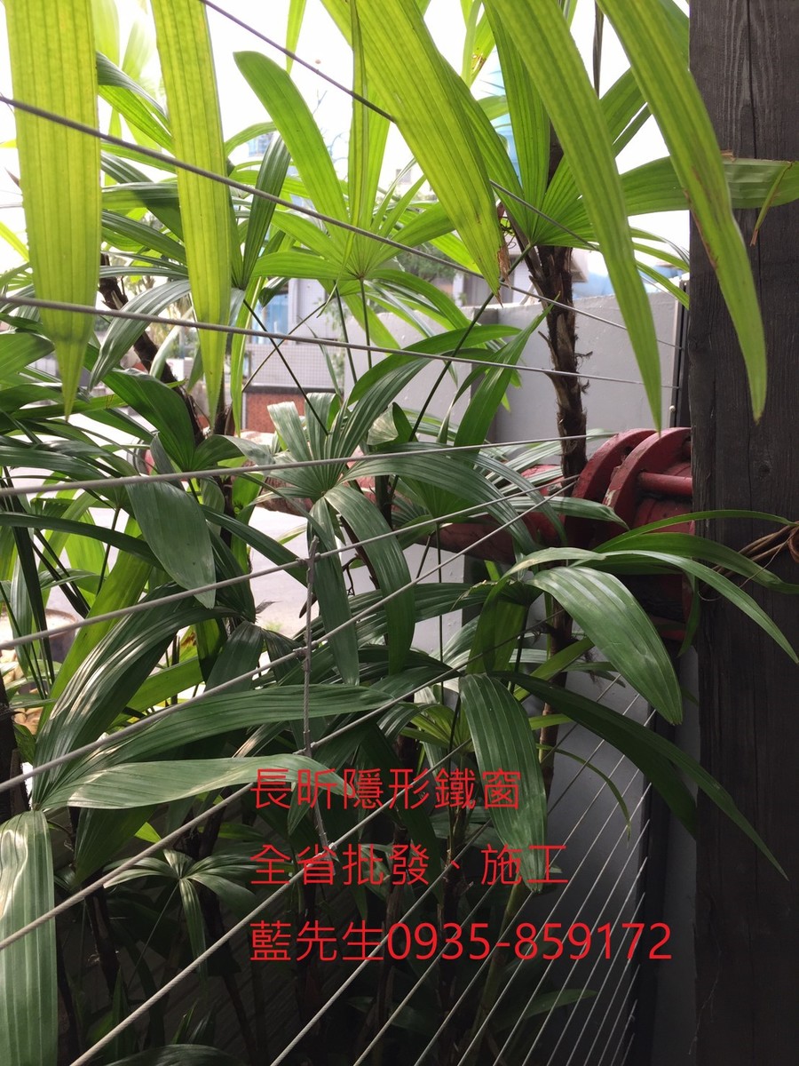 隱形鐵窗 兒童防護窗 兒童防墜窗 防盜窗 防鴿網 防寵物 陽台防護 大樓防護  高雄隱形鐵窗 隱形鐵窗推薦 隱形鐵窗達人 隱形折紗 長昕隱形鐵窗 台南隱形鐵窗 屏東隱形鐵窗 隱形鐵窗工廠直營 隱形鐵窗批發  台北隱形鐵窗 台中隱形鐵窗 鋼絲窗 鋼索窗 防墜窗 安全防護網 傳統鐵窗 鐵窗 不鏽鋼門窗