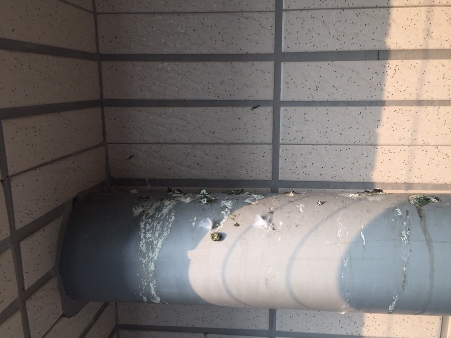 隱形鐵窗 兒童防護窗 兒童防墜窗 防盜窗 防鴿網 防寵物 陽台防護 大樓防護  高雄隱形鐵窗 隱形鐵窗推薦 隱形鐵窗達人 隱形折紗 長昕隱形鐵窗 台南隱形鐵窗 屏東隱形鐵窗 隱形鐵窗工廠直營 隱形鐵窗批發  台北隱形鐵窗 台中隱形鐵窗 鋼絲窗 鋼索窗 防墜窗 安全防護網 傳統鐵窗 鐵窗 不鏽鋼門窗