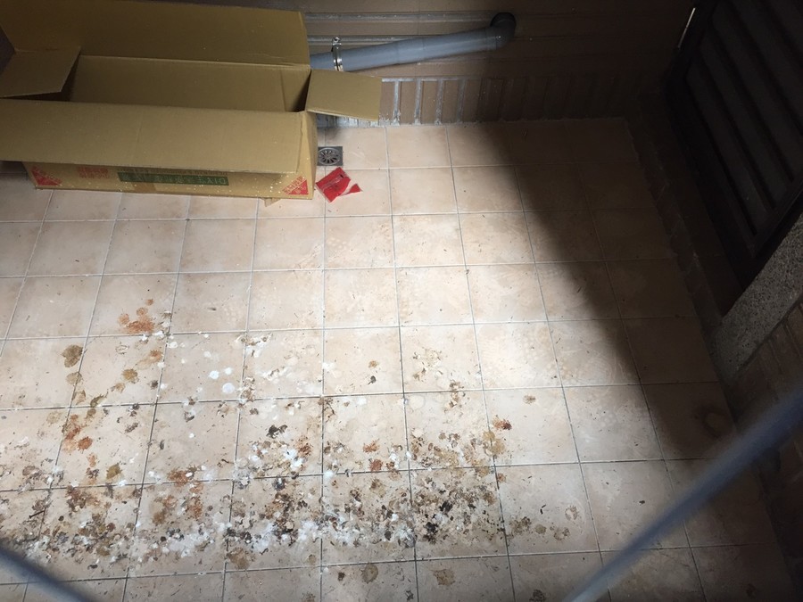 高雄隱形鐵窗 隱形鐵窗高雄 屏東隱形鐵窗 隱形鐵窗屏東 台南隱形鐵窗 隱形鐵窗台南 嘉義隱形鐵窗 隱形鐵窗嘉義 雲林隱形鐵窗 隱形鐵窗雲林 彰化隱形鐵窗 隱形鐵窗彰化 台中隱形鐵窗 隱形鐵窗台中 南投隱形鐵窗 隱形鐵窗南投 桃園隱形鐵窗 隱形鐵窗桃園 新竹隱形鐵窗 隱形鐵窗新竹 苗栗隱形鐵窗 隱形鐵窗苗栗 台北隱形鐵窗 隱形鐵窗台北 新北隱形鐵窗 隱形鐵窗新北 澎湖隱形鐵窗 隱形鐵窗澎湖 金門隱形鐵窗 隱形鐵窗金門 隱形鐵窗 兒童防護窗 兒童防墜窗 防盜窗 防鴿網 防寵物 陽台防護 大樓防護  隱形鐵窗推