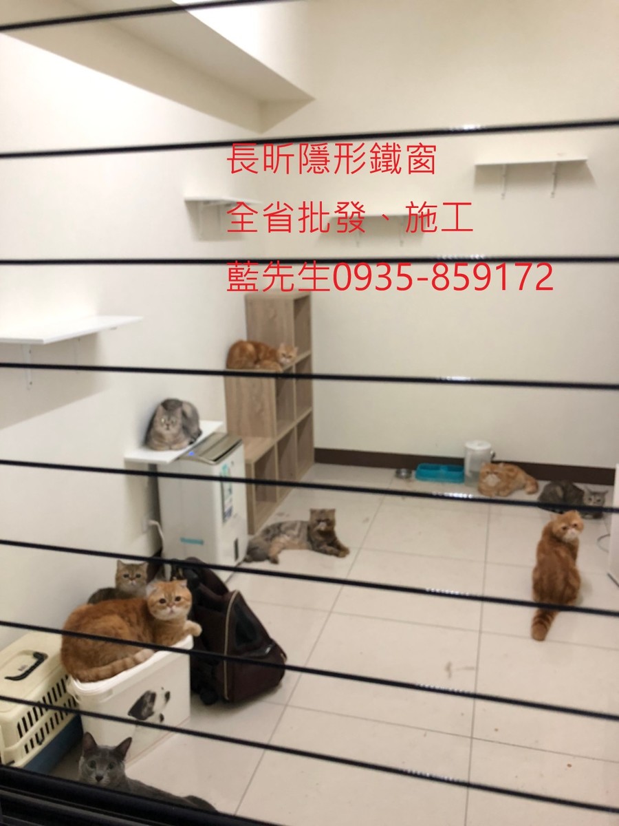 高雄隱形鐵窗 隱形鐵窗高雄 屏東隱形鐵窗 隱形鐵窗屏東 台南隱形鐵窗 隱形鐵窗台南 嘉義隱形鐵窗 隱形鐵窗嘉義 雲林隱形鐵窗 隱形鐵窗雲林 彰化隱形鐵窗 隱形鐵窗彰化 台中隱形鐵窗 隱形鐵窗台中 南投隱形鐵窗 隱形鐵窗南投 桃園隱形鐵窗 隱形鐵窗桃園 新竹隱形鐵窗 隱形鐵窗新竹 苗栗隱形鐵窗 隱形鐵窗苗栗 台北隱形鐵窗 隱形鐵窗台北 新北隱形鐵窗 隱形鐵窗新北 澎湖隱形鐵窗 隱形鐵窗澎湖 金門隱形鐵窗 隱形鐵窗金門 隱形鐵窗 兒童防護窗 兒童防墜窗 防盜窗 防鴿網 防寵物 陽台防護 大樓防護  隱形鐵窗推