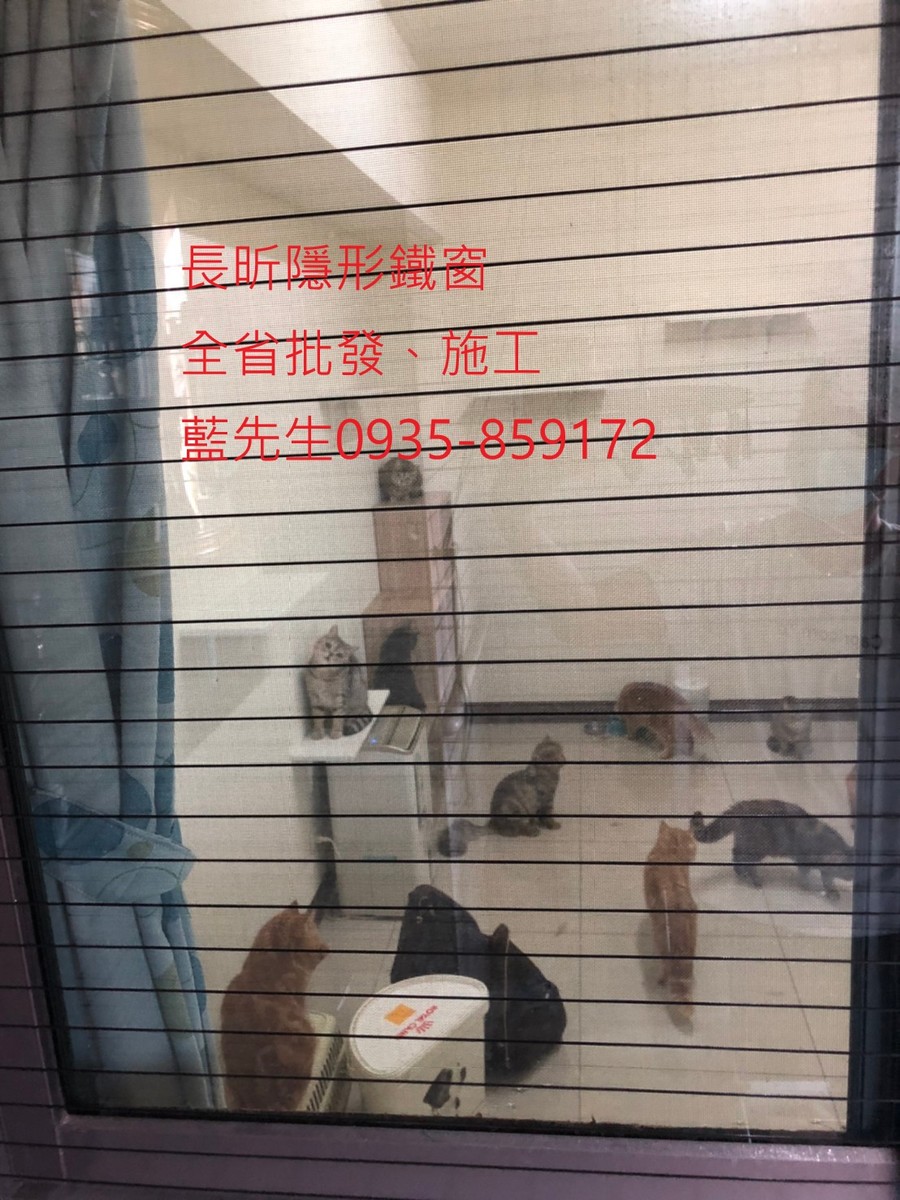 高雄隱形鐵窗 隱形鐵窗高雄 屏東隱形鐵窗 隱形鐵窗屏東 台南隱形鐵窗 隱形鐵窗台南 嘉義隱形鐵窗 隱形鐵窗嘉義 雲林隱形鐵窗 隱形鐵窗雲林 彰化隱形鐵窗 隱形鐵窗彰化 台中隱形鐵窗 隱形鐵窗台中 南投隱形鐵窗 隱形鐵窗南投 桃園隱形鐵窗 隱形鐵窗桃園 新竹隱形鐵窗 隱形鐵窗新竹 苗栗隱形鐵窗 隱形鐵窗苗栗 台北隱形鐵窗 隱形鐵窗台北 新北隱形鐵窗 隱形鐵窗新北 澎湖隱形鐵窗 隱形鐵窗澎湖 金門隱形鐵窗 隱形鐵窗金門 隱形鐵窗 兒童防護窗 兒童防墜窗 防盜窗 防鴿網 防寵物 陽台防護 大樓防護  隱形鐵窗推