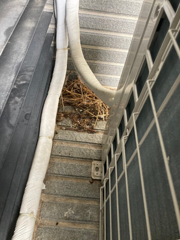 高雄隱形鐵窗 隱形鐵窗高雄 屏東隱形鐵窗 隱形鐵窗屏東 台南隱形鐵窗 隱形鐵窗台南 嘉義隱形鐵窗 隱形鐵窗嘉義 雲林隱形鐵窗 隱形鐵窗雲林 彰化隱形鐵窗 隱形鐵窗彰化 台中隱形鐵窗 隱形鐵窗台中 南投隱形鐵窗 隱形鐵窗南投 桃園隱形鐵窗 隱形鐵窗桃園 新竹隱形鐵窗 隱形鐵窗新竹 苗栗隱形鐵窗 隱形鐵窗苗栗 台北隱形鐵窗 隱形鐵窗台北 新北隱形鐵窗 隱形鐵窗新北 澎湖隱形鐵窗 隱形鐵窗澎湖 金門隱形鐵窗 隱形鐵窗金門 隱形鐵窗 兒童防護窗 兒童防墜窗 防盜窗 防鴿網 防寵物 陽台防護 大樓防護  隱形鐵窗推