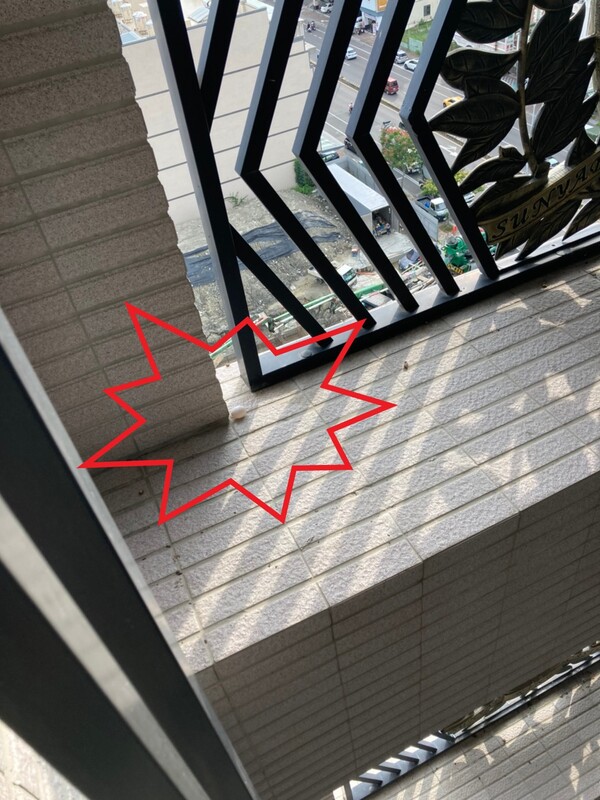 高雄隱形鐵窗 隱形鐵窗高雄 屏東隱形鐵窗 隱形鐵窗屏東 台南隱形鐵窗 隱形鐵窗台南 嘉義隱形鐵窗 隱形鐵窗嘉義 雲林隱形鐵窗 隱形鐵窗雲林 彰化隱形鐵窗 隱形鐵窗彰化 台中隱形鐵窗 隱形鐵窗台中 南投隱形鐵窗 隱形鐵窗南投 桃園隱形鐵窗 隱形鐵窗桃園 新竹隱形鐵窗 隱形鐵窗新竹 苗栗隱形鐵窗 隱形鐵窗苗栗 台北隱形鐵窗 隱形鐵窗台北 新北隱形鐵窗 隱形鐵窗新北 澎湖隱形鐵窗 隱形鐵窗澎湖 金門隱形鐵窗 隱形鐵窗金門 隱形鐵窗 兒童防護窗 兒童防墜窗 防盜窗 防鴿網 防寵物 陽台防護 大樓防護  隱形鐵窗推