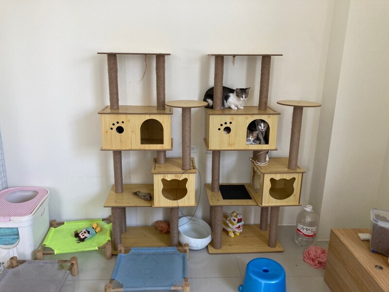 高雄隱形鐵窗 隱形鐵窗高雄 屏東隱形鐵窗 隱形鐵窗屏東 台南隱形鐵窗 隱形鐵窗台南 嘉義隱形鐵窗 隱形鐵窗嘉義 雲林隱形鐵窗 隱形鐵窗雲林 彰化隱形鐵窗 隱形鐵窗彰化 台中隱形鐵窗 隱形鐵窗台中 南投隱形鐵窗 隱形鐵窗南投 桃園隱形鐵窗 隱形鐵窗桃園 新竹隱形鐵窗 隱形鐵窗新竹 苗栗隱形鐵窗 隱形鐵窗苗栗 台北隱形鐵窗 隱形鐵窗台北 新北隱形鐵窗 隱形鐵窗新北 澎湖隱形鐵窗 隱形鐵窗澎湖 金門隱形鐵窗 隱形鐵窗金門 隱形鐵窗 兒童防護窗 兒童防墜窗 防盜窗 防鴿網 防寵物 陽台防護 大樓防護  隱形鐵窗推