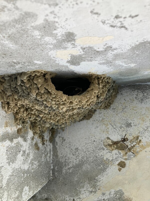 高雄隱形鐵窗 隱形鐵窗高雄 屏東隱形鐵窗 隱形鐵窗屏東 台南隱形鐵窗 隱形鐵窗台南 嘉義隱形鐵窗 隱形鐵窗嘉義 雲林隱形鐵窗 隱形鐵窗雲林 彰化隱形鐵窗 隱形鐵窗彰化 台中隱形鐵窗 隱形鐵窗台中 南投隱形鐵窗 隱形鐵窗南投 桃園隱形鐵窗 隱形鐵窗桃園 新竹隱形鐵窗 隱形鐵窗新竹 苗栗隱形鐵窗 隱形鐵窗苗栗 台北隱形鐵窗 隱形鐵窗台北 新北隱形鐵窗 隱形鐵窗新北 澎湖隱形鐵窗 隱形鐵窗澎湖 金門隱形鐵窗 隱形鐵窗金門 隱形鐵窗 兒童防護窗 兒童防墜窗 防盜窗 防鴿網 防寵物 陽台防護 大樓防護  隱形鐵窗推