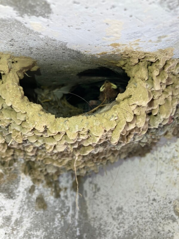 高雄隱形鐵窗 隱形鐵窗高雄 屏東隱形鐵窗 隱形鐵窗屏東 台南隱形鐵窗 隱形鐵窗台南 嘉義隱形鐵窗 隱形鐵窗嘉義 雲林隱形鐵窗 隱形鐵窗雲林 彰化隱形鐵窗 隱形鐵窗彰化 台中隱形鐵窗 隱形鐵窗台中 南投隱形鐵窗 隱形鐵窗南投 桃園隱形鐵窗 隱形鐵窗桃園 新竹隱形鐵窗 隱形鐵窗新竹 苗栗隱形鐵窗 隱形鐵窗苗栗 台北隱形鐵窗 隱形鐵窗台北 新北隱形鐵窗 隱形鐵窗新北 澎湖隱形鐵窗 隱形鐵窗澎湖 金門隱形鐵窗 隱形鐵窗金門 隱形鐵窗 兒童防護窗 兒童防墜窗 防盜窗 防鴿網 防寵物 陽台防護 大樓防護  隱形鐵窗推