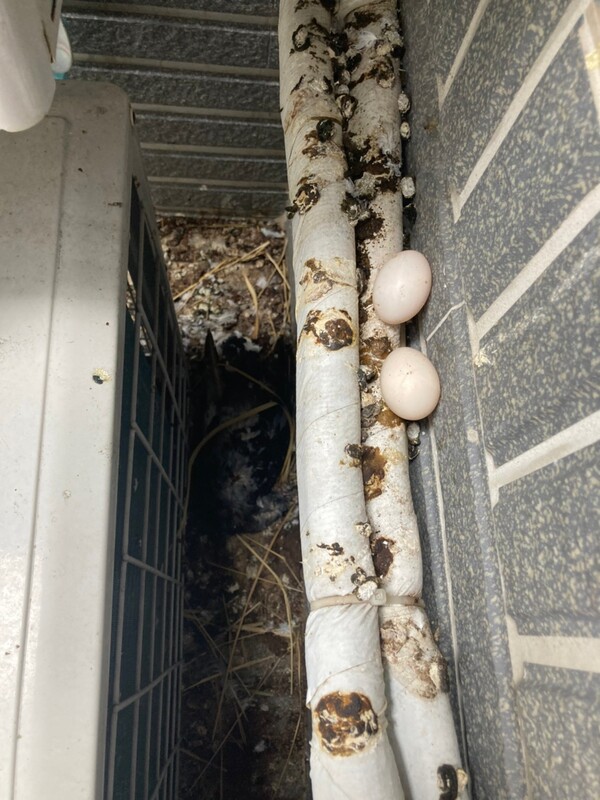 高雄隱形鐵窗 隱形鐵窗高雄 屏東隱形鐵窗 隱形鐵窗屏東 台南隱形鐵窗 隱形鐵窗台南 嘉義隱形鐵窗 隱形鐵窗嘉義 雲林隱形鐵窗 隱形鐵窗雲林 彰化隱形鐵窗 隱形鐵窗彰化 台中隱形鐵窗 隱形鐵窗台中 南投隱形鐵窗 隱形鐵窗南投 桃園隱形鐵窗 隱形鐵窗桃園 新竹隱形鐵窗 隱形鐵窗新竹 苗栗隱形鐵窗 隱形鐵窗苗栗 台北隱形鐵窗 隱形鐵窗台北 新北隱形鐵窗 隱形鐵窗新北 澎湖隱形鐵窗 隱形鐵窗澎湖 金門隱形鐵窗 隱形鐵窗金門 隱形鐵窗 兒童防護窗 兒童防墜窗 防盜窗 防鴿網 防寵物 陽台防護 大樓防護  隱形鐵窗推