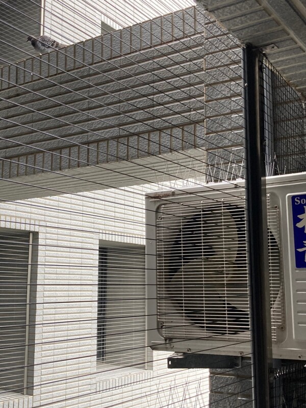 高雄隱形鐵窗 隱形鐵窗高雄 屏東隱形鐵窗 隱形鐵窗屏東 台南隱形鐵窗 隱形鐵窗台南 嘉義隱形鐵窗 隱形鐵窗嘉義 雲林隱形鐵窗 隱形鐵窗雲林 彰化隱形鐵窗 隱形鐵窗彰化 台中隱形鐵窗 隱形鐵窗台中 南投隱形鐵窗 隱形鐵窗南投 桃園隱形鐵窗 隱形鐵窗桃園 新竹隱形鐵窗 隱形鐵窗新竹 苗栗隱形鐵窗 隱形鐵窗苗栗 台北隱形鐵窗 隱形鐵窗台北 新北隱形鐵窗 隱形鐵窗新北 澎湖隱形鐵窗 隱形鐵窗澎湖 金門隱形鐵窗 隱形鐵窗金門 隱形鐵窗 兒童防護窗 兒童防墜窗 防盜窗 防鴿網 防寵物 陽台防護 大樓防護  隱形鐵窗推