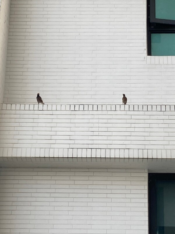 高雄隱形鐵窗 隱形鐵窗高雄 屏東隱形鐵窗 隱形鐵窗屏東 台南隱形鐵窗 隱形鐵窗台南 嘉義隱形鐵窗 隱形鐵窗嘉義 雲林隱形鐵窗 隱形鐵窗雲林 彰化隱形鐵窗 隱形鐵窗彰化 台中隱形鐵窗 隱形鐵窗台中 南投隱形鐵窗 隱形鐵窗南投 桃園隱形鐵窗 隱形鐵窗桃園 新竹隱形鐵窗 隱形鐵窗新竹 苗栗隱形鐵窗 隱形鐵窗苗栗 台北隱形鐵窗 隱形鐵窗台北 新北隱形鐵窗 隱形鐵窗新北 澎湖隱形鐵窗 隱形鐵窗澎湖 金門隱形鐵窗 隱形鐵窗金門 隱形鐵窗 兒童防護窗 兒童防墜窗 防盜窗 防鴿網 防寵物 陽台防護 大樓防護  隱形鐵窗推