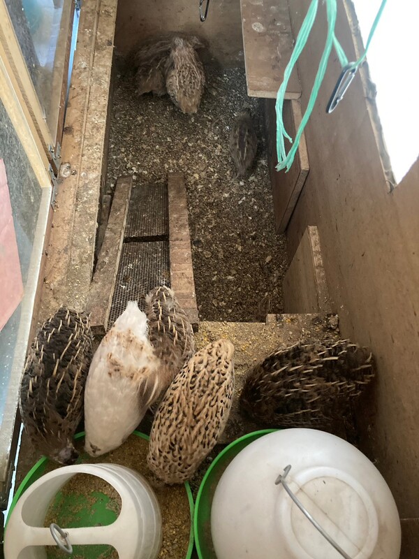 高雄隱形鐵窗 隱形鐵窗高雄 屏東隱形鐵窗 隱形鐵窗屏東 台南隱形鐵窗 隱形鐵窗台南 嘉義隱形鐵窗 隱形鐵窗嘉義 雲林隱形鐵窗 隱形鐵窗雲林 彰化隱形鐵窗 隱形鐵窗彰化 台中隱形鐵窗 隱形鐵窗台中 南投隱形鐵窗 隱形鐵窗南投 桃園隱形鐵窗 隱形鐵窗桃園 新竹隱形鐵窗 隱形鐵窗新竹 苗栗隱形鐵窗 隱形鐵窗苗栗 台北隱形鐵窗 隱形鐵窗台北 新北隱形鐵窗 隱形鐵窗新北 澎湖隱形鐵窗 隱形鐵窗澎湖 金門隱形鐵窗 隱形鐵窗金門 隱形鐵窗 兒童防護窗 兒童防墜窗 防盜窗 防鴿網 防寵物 陽台防護 大樓防護  隱形鐵窗推