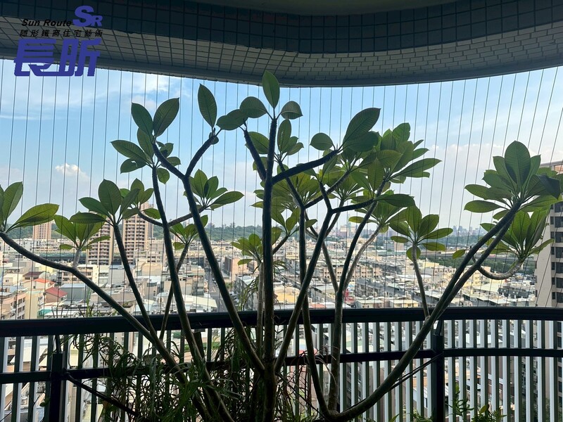 高雄隱形鐵窗 隱形鐵窗高雄 屏東隱形鐵窗 隱形鐵窗屏東 台南隱形鐵窗 隱形鐵窗台南 嘉義隱形鐵窗 隱形鐵窗嘉義 雲林隱形鐵窗 隱形鐵窗雲林 彰化隱形鐵窗 隱形鐵窗彰化 台中隱形鐵窗 隱形鐵窗台中 南投隱形鐵窗 隱形鐵窗南投 桃園隱形鐵窗 隱形鐵窗桃園 新竹隱形鐵窗 隱形鐵窗新竹 苗栗隱形鐵窗 隱形鐵窗苗栗 台北隱形鐵窗 隱形鐵窗台北 新北隱形鐵窗 隱形鐵窗新北 澎湖隱形鐵窗 隱形鐵窗澎湖 金門隱形鐵窗 隱形鐵窗金門 隱形鐵窗 兒童防護窗 兒童防墜窗 防盜窗 防鴿網 防寵物 陽台防護 大樓防護  隱形鐵窗推薦 隱形鐵窗達人 隱形折紗 長昕隱形鐵窗  隱形鐵窗工廠直營 隱形鐵窗批發  鋼絲窗 鋼索窗 防墜窗 安全防護網 傳統鐵窗 鐵窗 不鏽鋼門窗